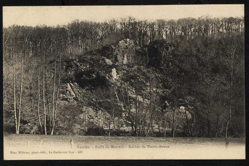 Le rocher de Pierre-Brune dans la forêt de Mervent / Mme Milheau phot.